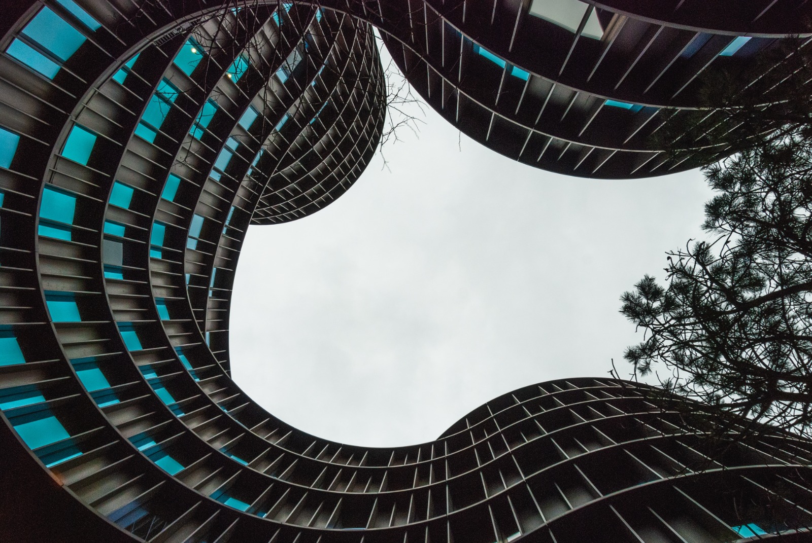 Curving modern corporate buildings viewed from below